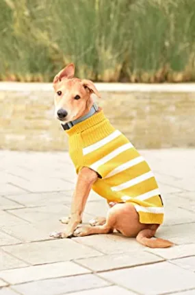Mustard Sweater