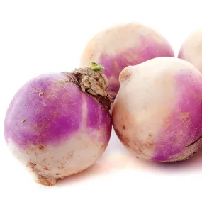 Rutabaga American Purple Top Seed